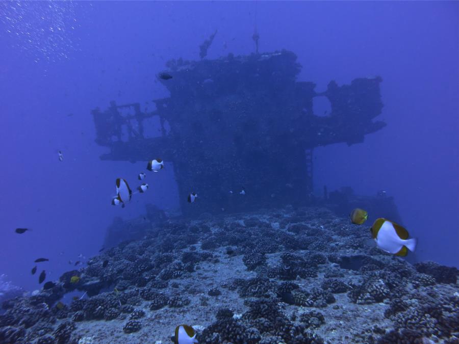 wreck 1