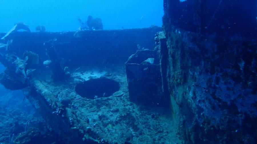 Diving Caribbean