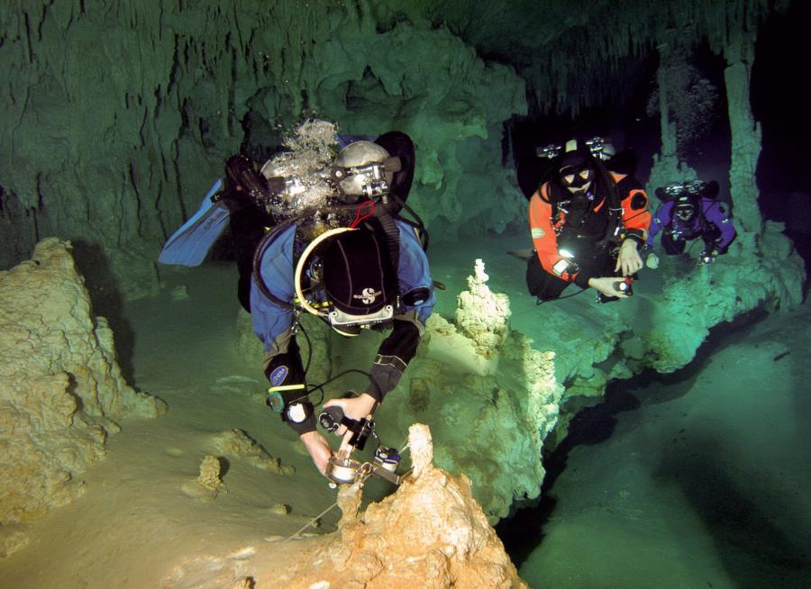 Pet Cementery Cenote