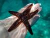 Dry Tortugas