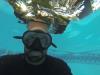 Photo uploaded by dlomi136 (Pool photos with GoPro 002 (8).JPG)