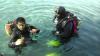 rebreather Demo