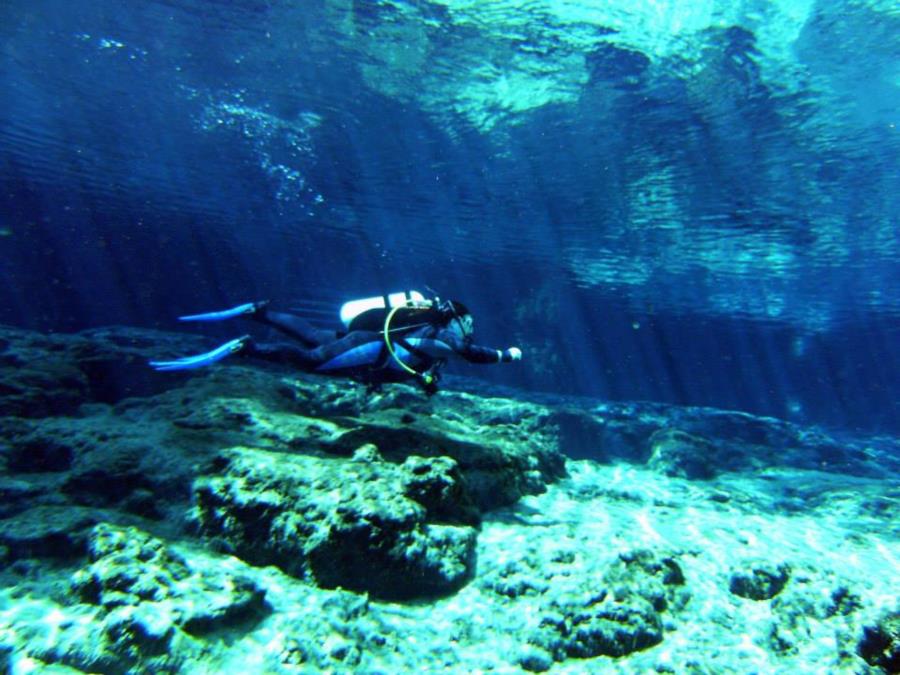 Ginnie Springs