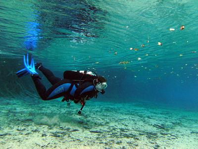 Ginnie Springs