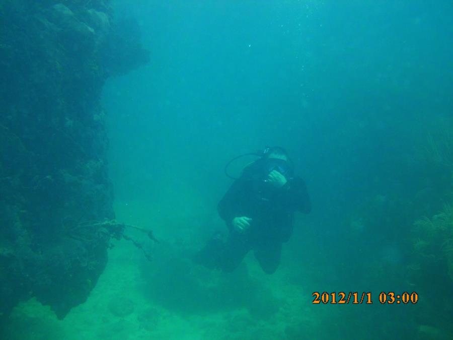 Looe Key Reef Dive Florida Keys