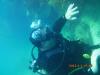 Looe Key Reef Dive Florida Keys