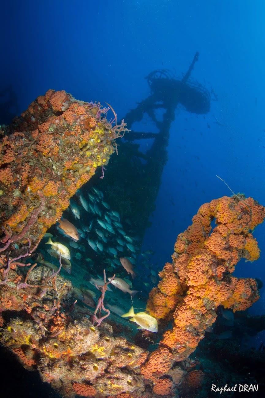 USCGC Duane Wreck