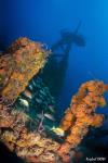 USCGC Duane Wreck