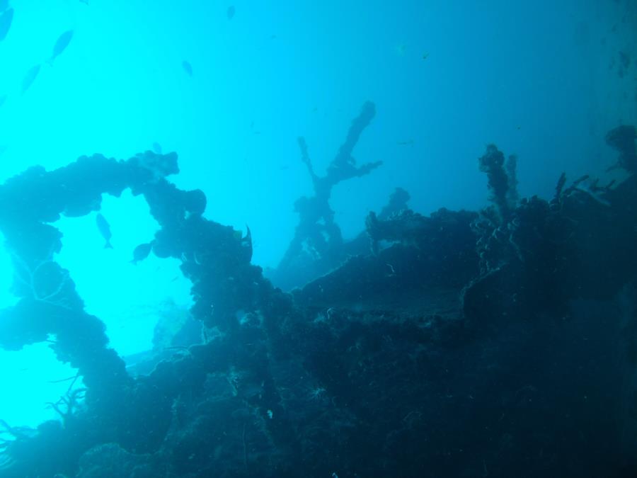 Ancient Mariner, Fort Lauderdale