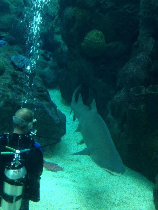 Florida Aquarium, Tampa