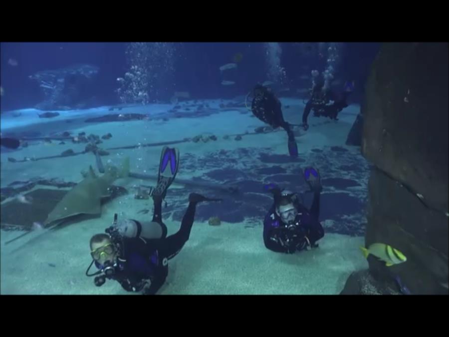 Georgia Aquarium - Nate and I