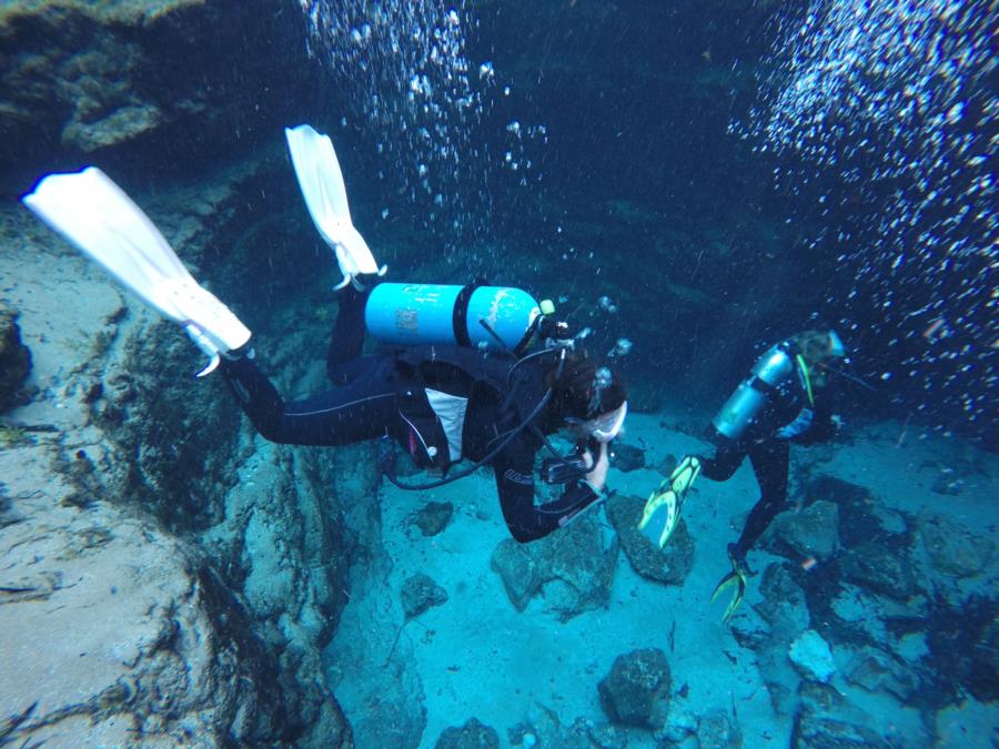 Ginnie springs