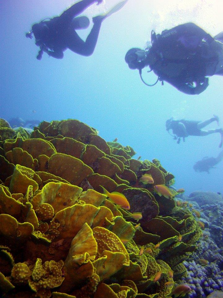 Underwater View