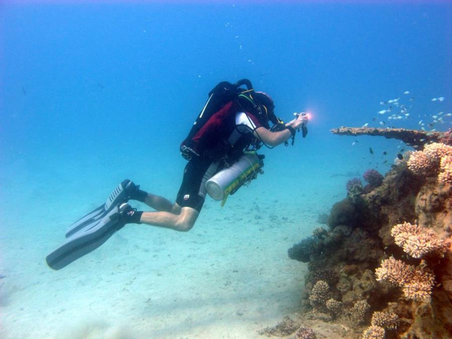 Underwater View