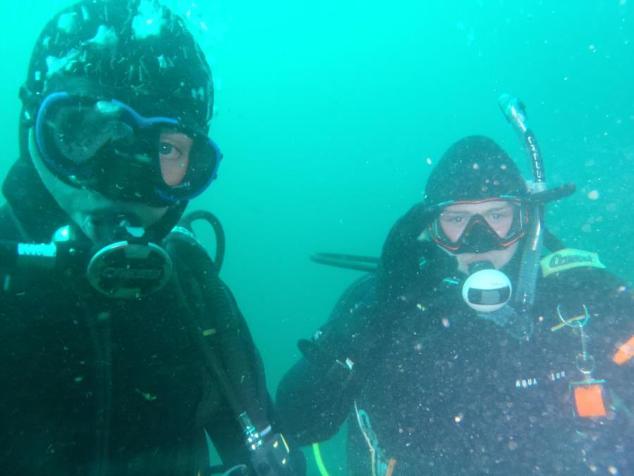 Dive Buddies