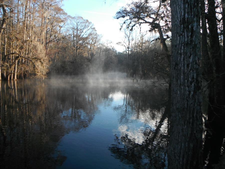 Manatee State Paark