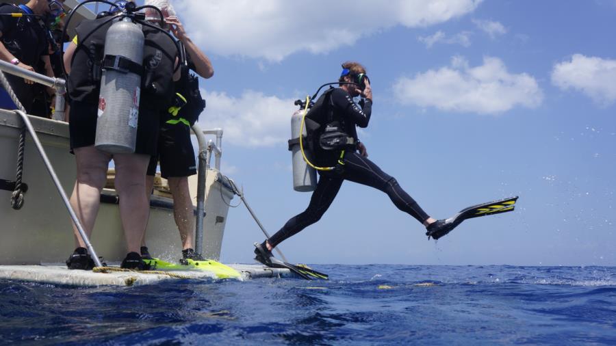 Cozumel July 2014