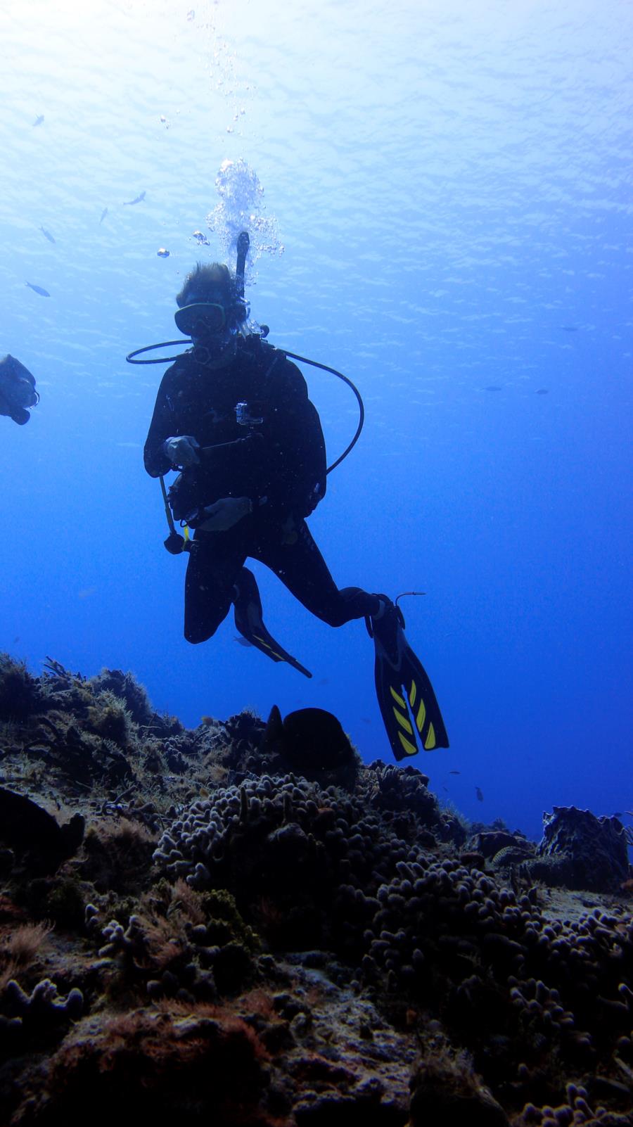 Cozumel 7-26-14