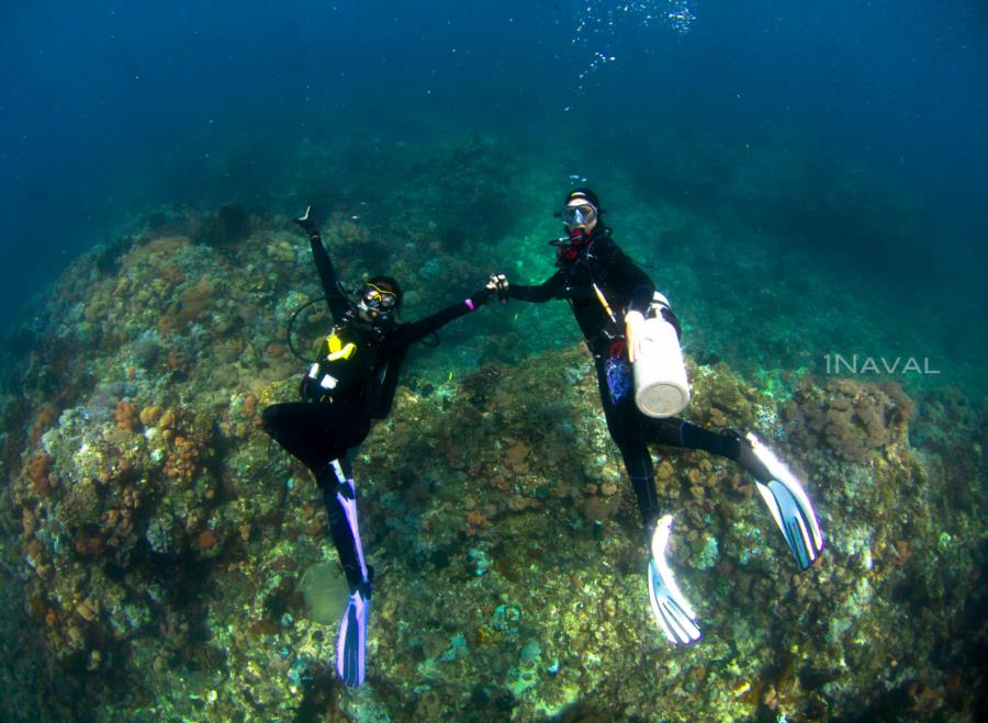 Dive and Selfie Buddy