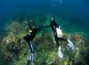 Dive and Selfie Buddy