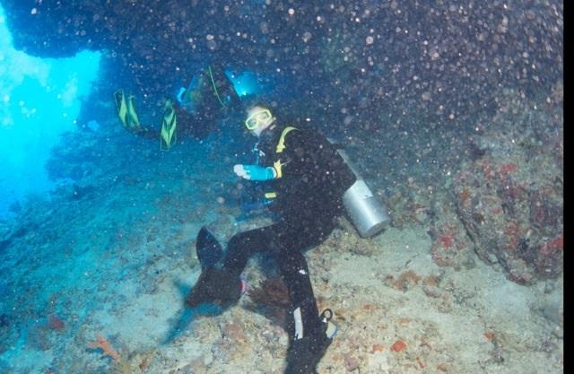 Drift dive Maldives