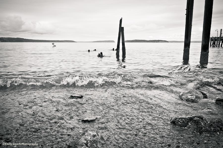 Mukilteo T-Dock Dive Site, Mukilteo WA