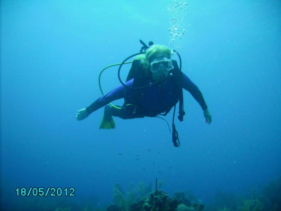 Diving Cayman