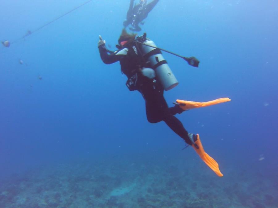 Diving in Hawaii