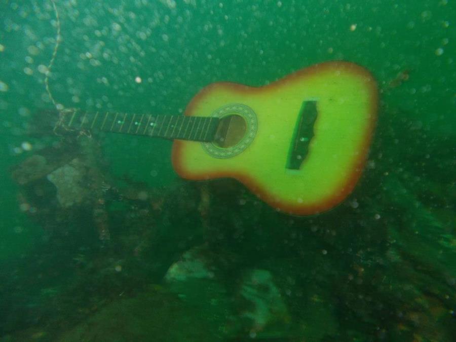 Guitar on the WBug