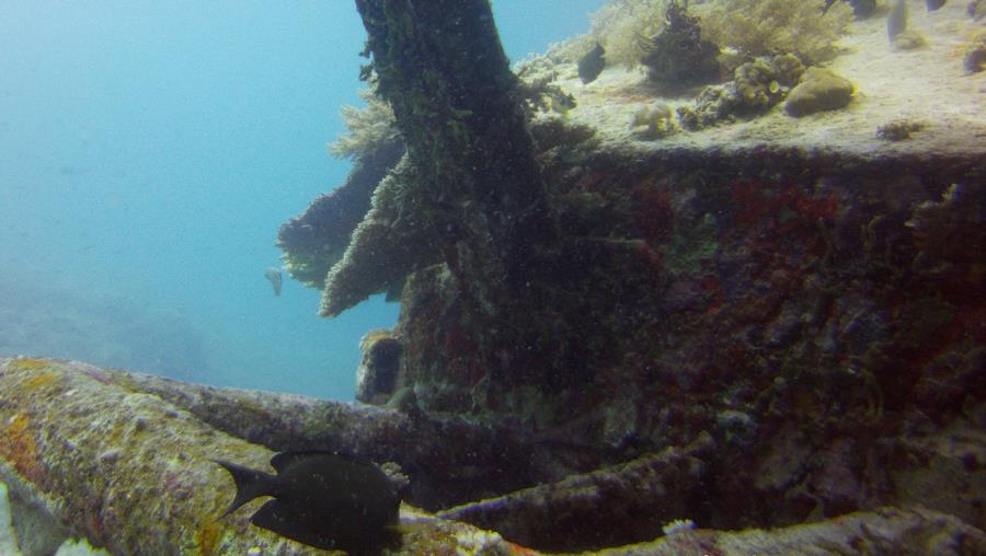 Bounty Wreck - Gili Meno