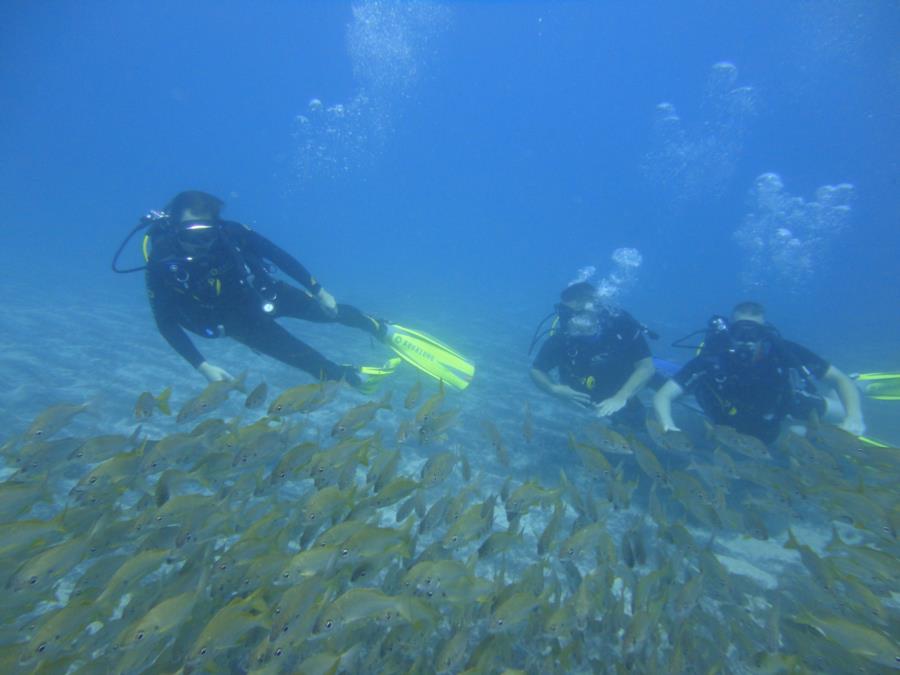 Tenerife diving