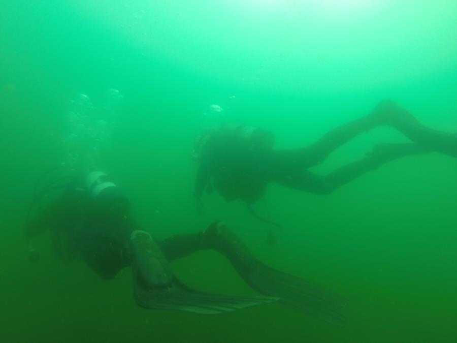 cert dive