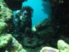 Dive Derawan