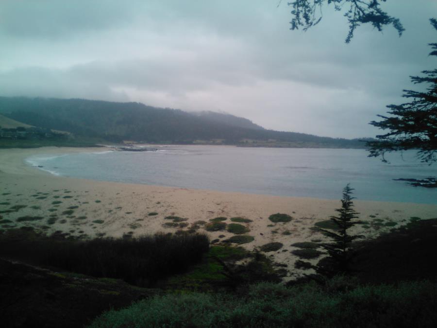 Carmel river_ Monte Rey California