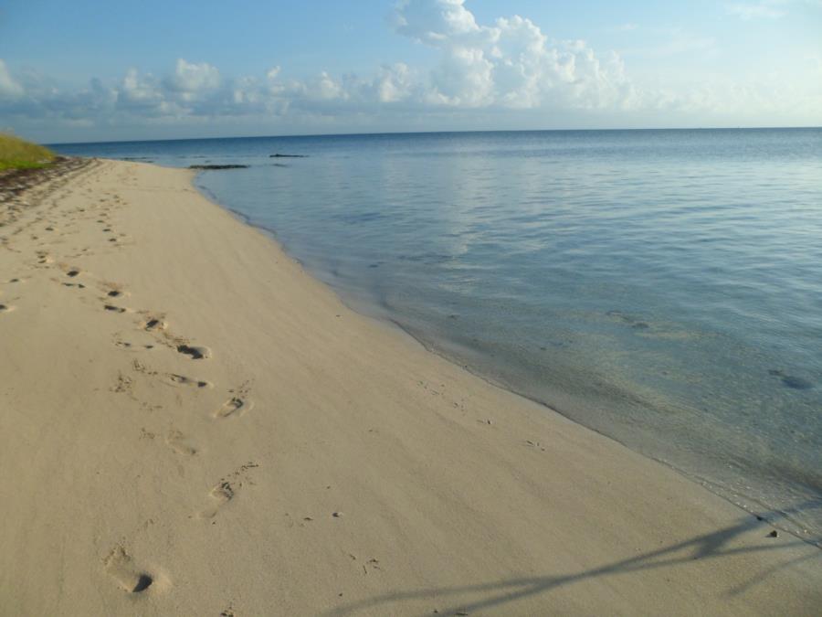 Grand Bahama 6/14 Deserted Beach