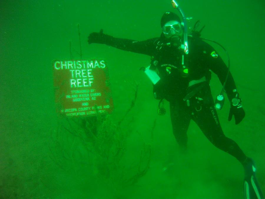 Christmas Tree Reef