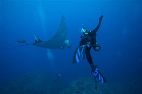 Socorro Islands