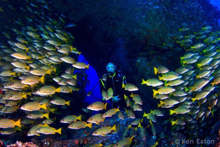 Swim through Cocos pretty darn cool