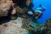 Roatan Eel Smiling