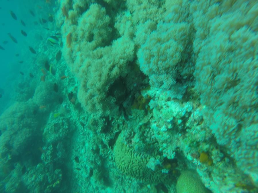 Diving in Boracay, Phl