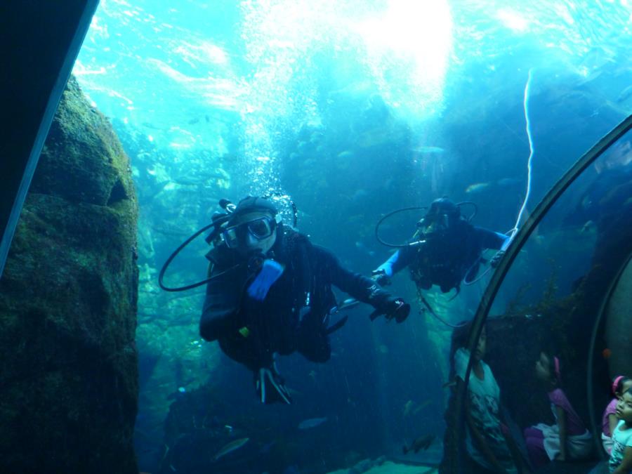 Tunnel Cleaning