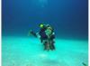 Lionfish being photobombed by Mary/GoPro