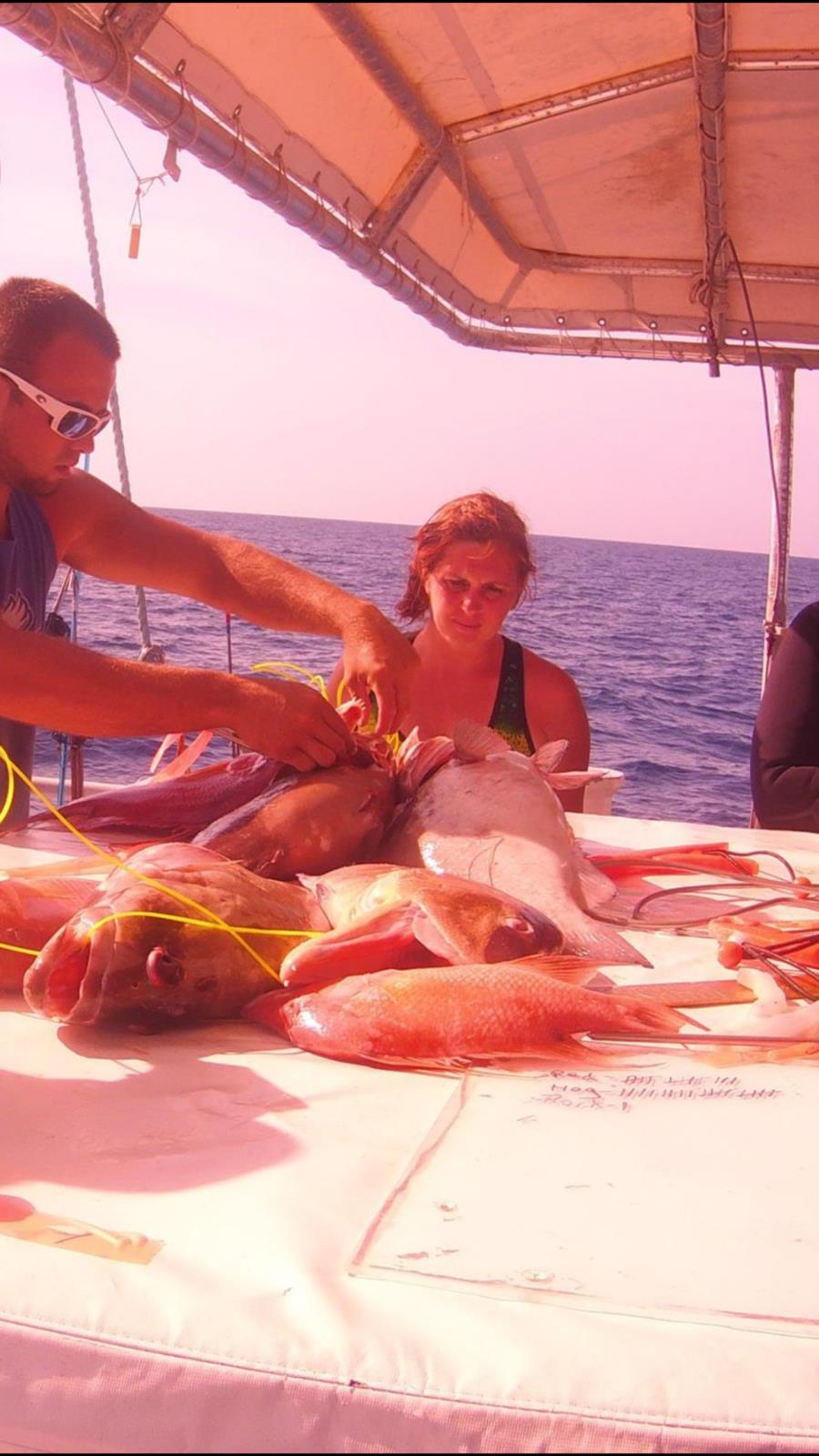 Spearfishing at Dry Tortugas