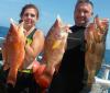 Spearfishing At Dry Tortugas