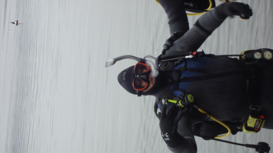 diving at hood canal