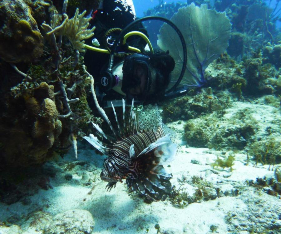 Lionfish and Me-GTMO, Cuba