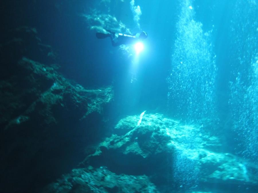 From "The Pit" Cenote in the Tulum, MX area