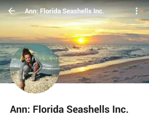 Florida Seashells Inc.