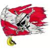 Pirate flag