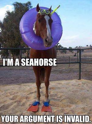 Seahorse